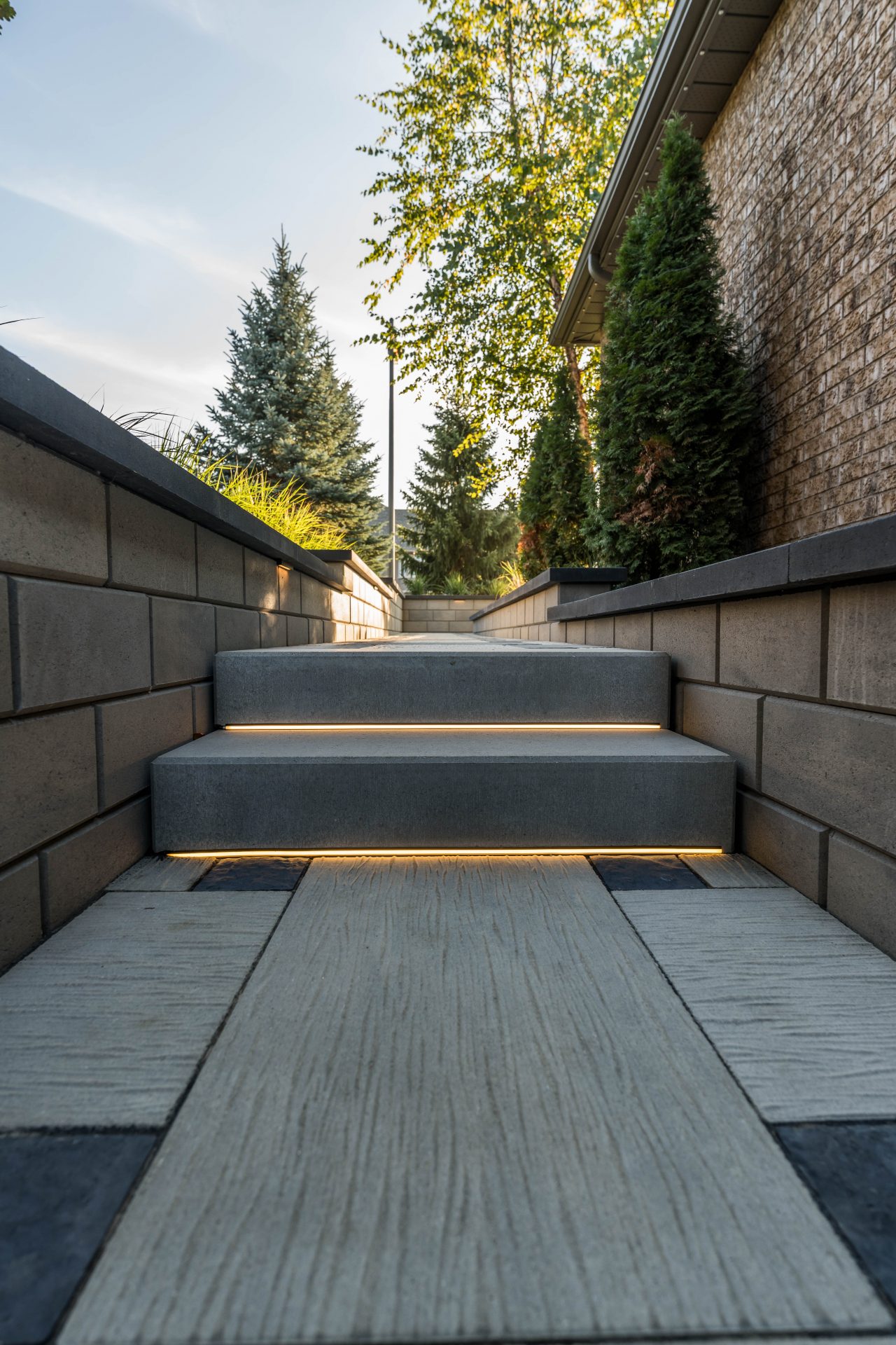Outdoor steps with lights and surrounding trees.