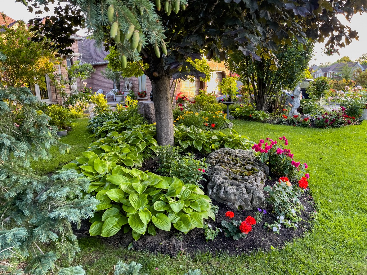 Lush garden with flowers and tree in yard.