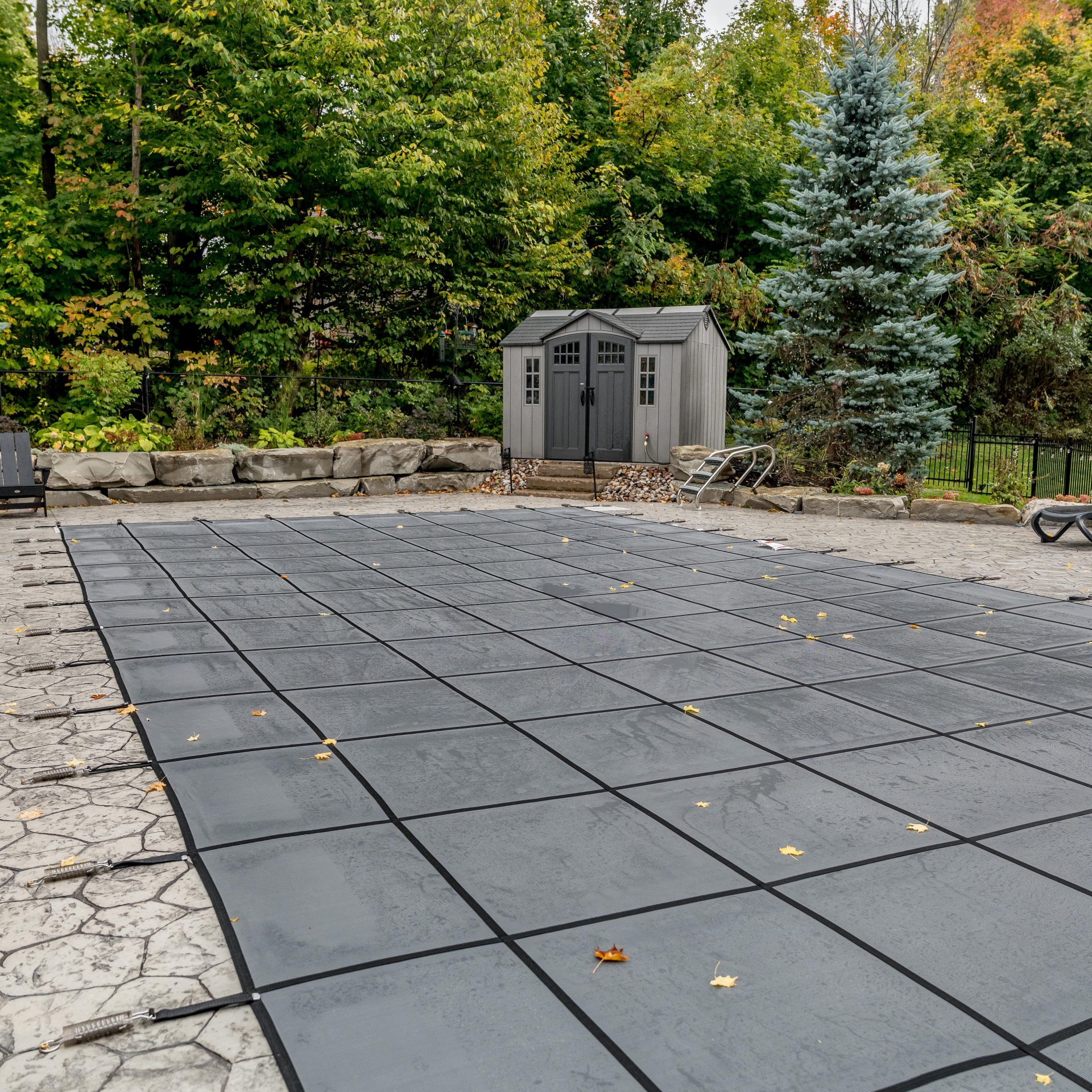 Covered pool with trees and small shed nearby.